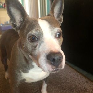 Meet your Posher, Cassie